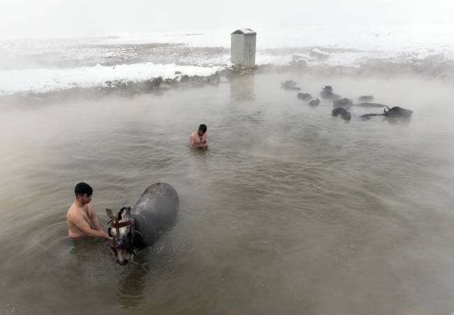 Fotoğraf: TRT Haber
